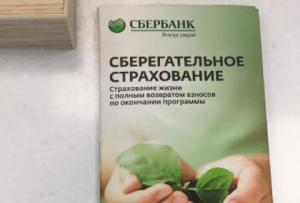 How to terminate a life insurance contract at Sberbank LLC
